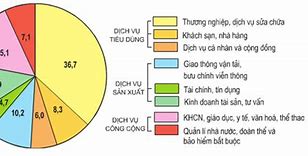 Các Ngành Dịch Vụ Ở Đồng Tháp