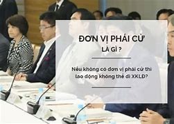 Có Nên Đi Xkld Nhật Bản 2022 Không Visa Không Được Gì