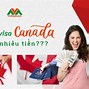 Gia Hạn Visa Canada Bao Nhiều Tiền Việt Nam 2024