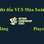 Lịch Thi Đấu Playoff Vcs