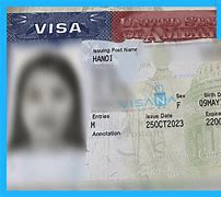 Mầm Non Tại Mỹ Có Cần Visa Không 2024