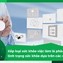 Sức Khoẻ Loại 3 Là Gì